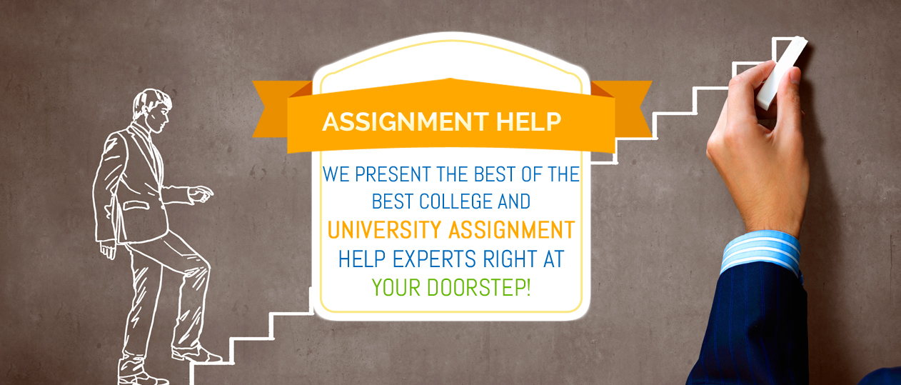 assignment solution help